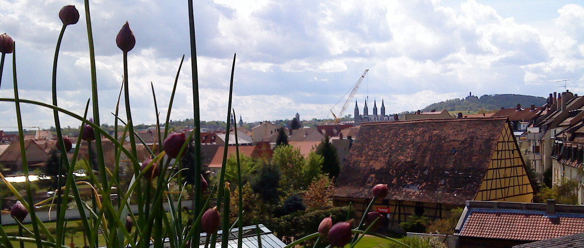 Bamberg (looking from the gardening quarter towards the Old Town)